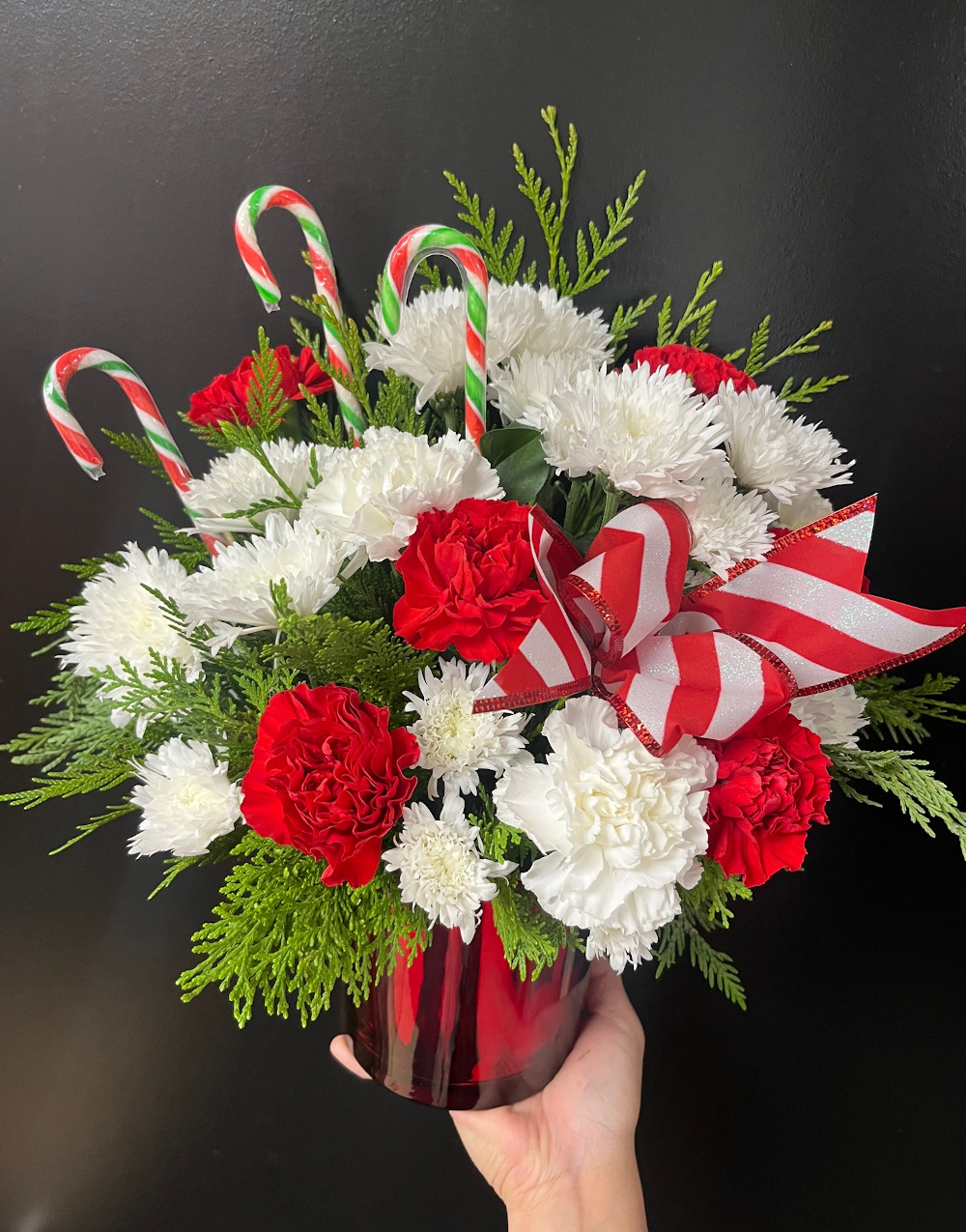 Cozy Christmas Carnations
