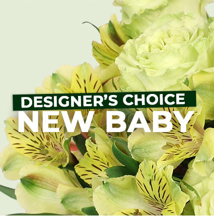 Welcome Baby Designers Choice